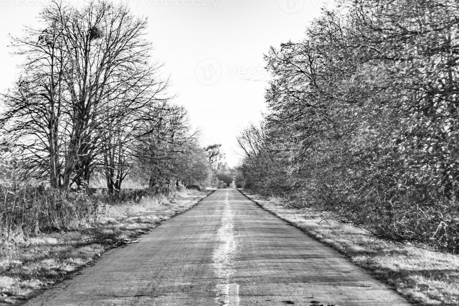 Beautiful empty asphalt road in countryside on colored background photo