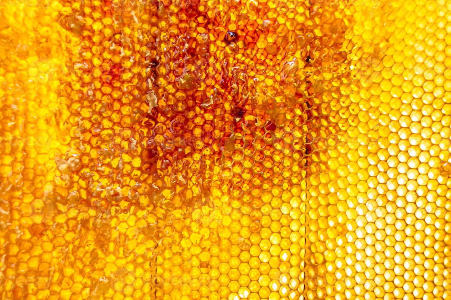 Drop of bee honey drip from hexagonal honeycombs filled with golden nectar photo