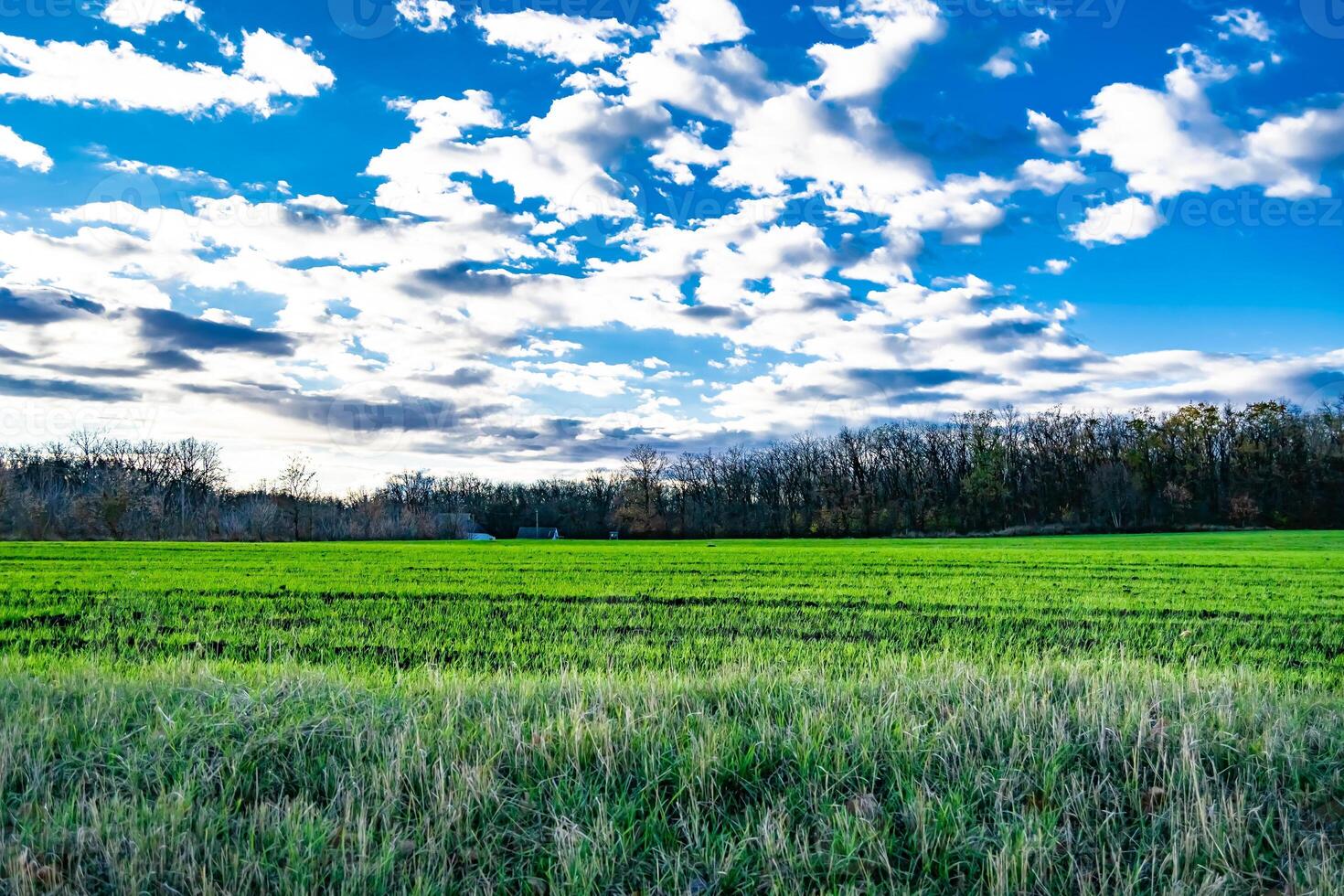 fotografía sobre el tema gran campo agrícola vacío para la cosecha orgánica foto