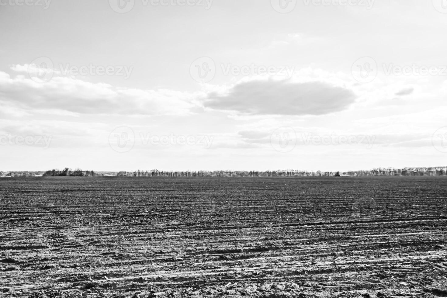 Photography on theme big empty farm field for organic harvest photo