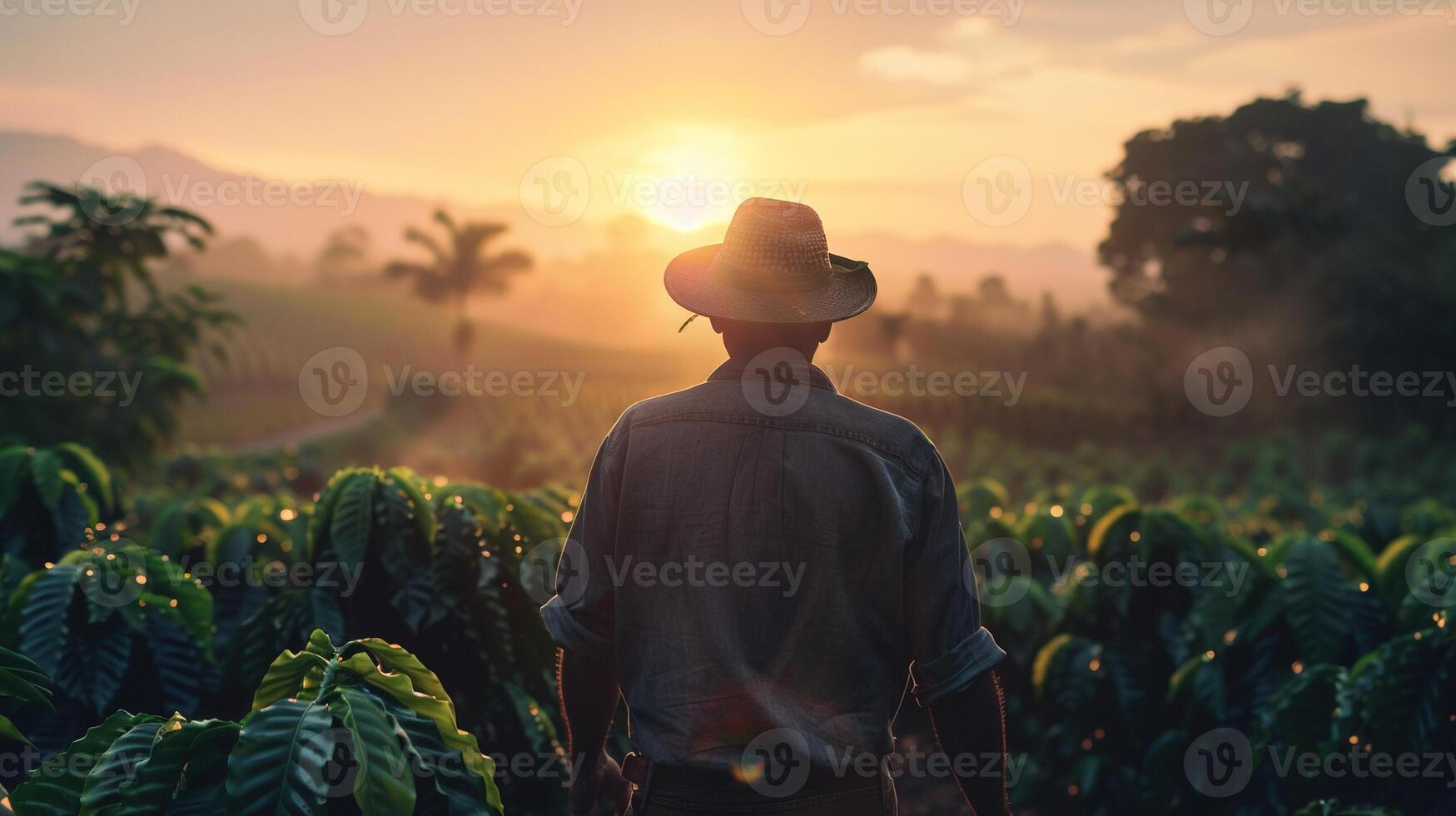 AI generated Man with Walking through Coffee Field at Sunrise. Farmer, Hat, Sunset, Sun, Farm, Nature, Background, Work, Countryside, Green, Landscape, People, Person, Plantation, Agriculture photo