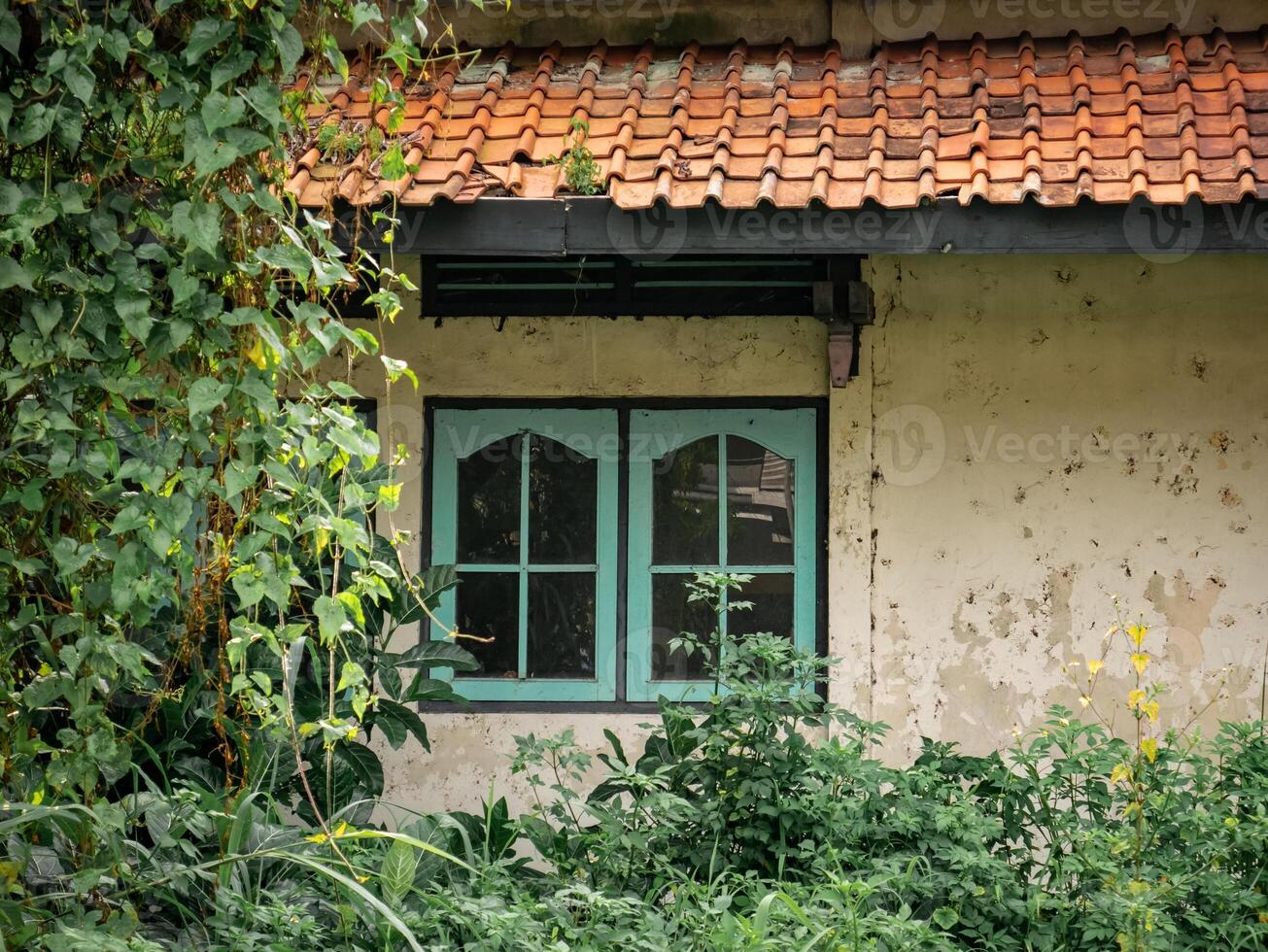 shabby windows on an old abandoned building, wild grass surrounding them photo
