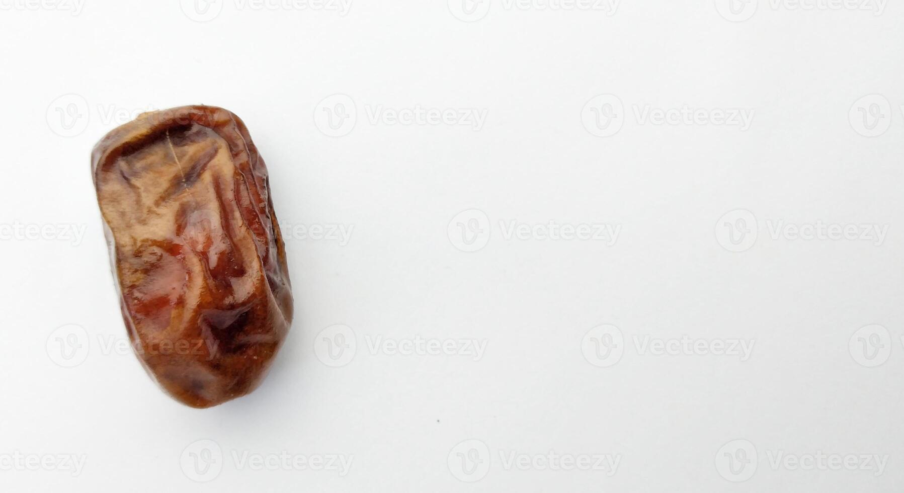 date palm on white background photo