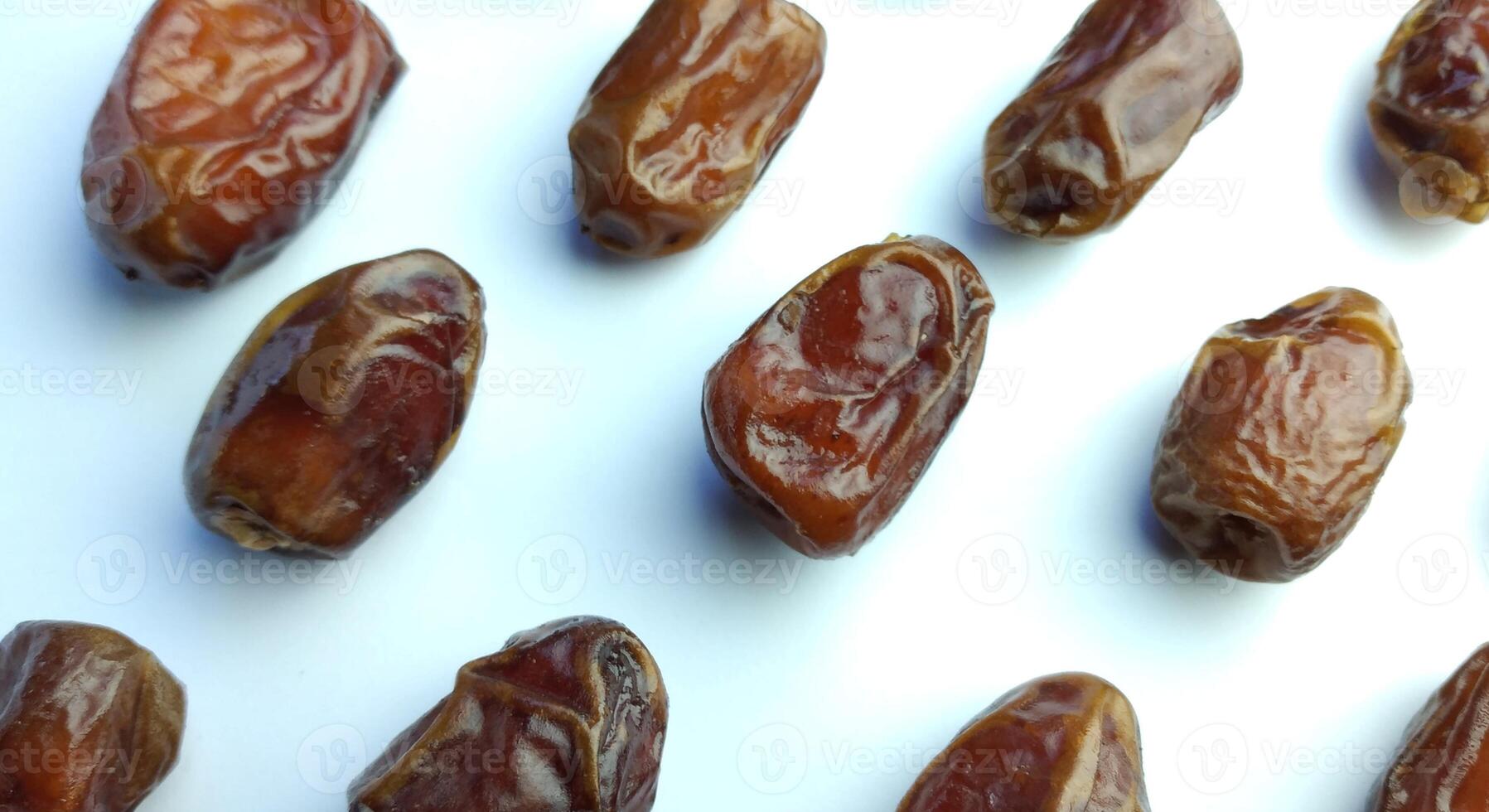 date palm on white background photo