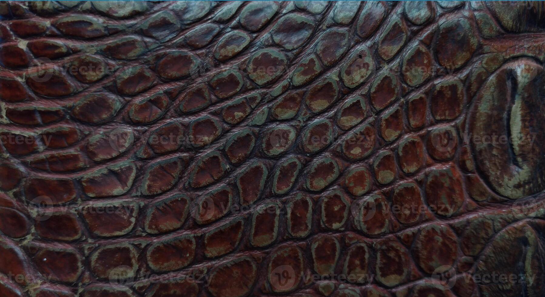 Crocodile skin texture background. Crocodile leather texture. photo