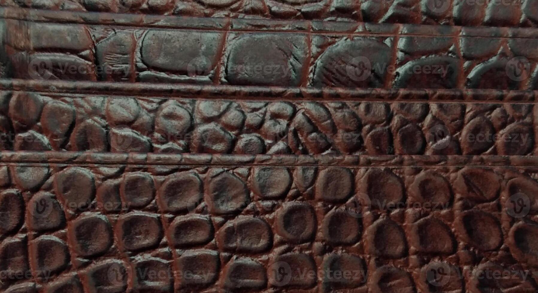Crocodile skin texture background. Crocodile leather texture. photo