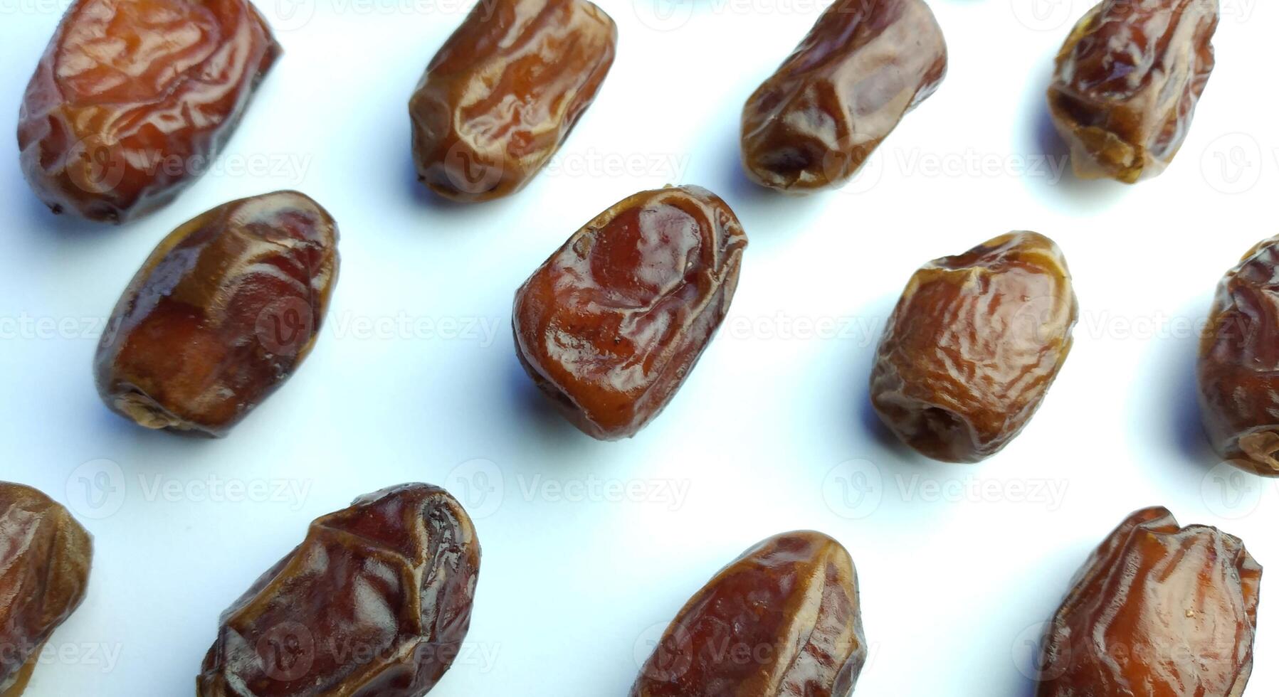 date palm on white background photo