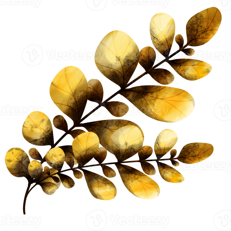 types of leaf png