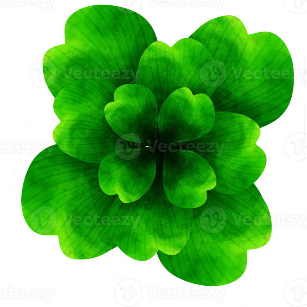 types of leaf png