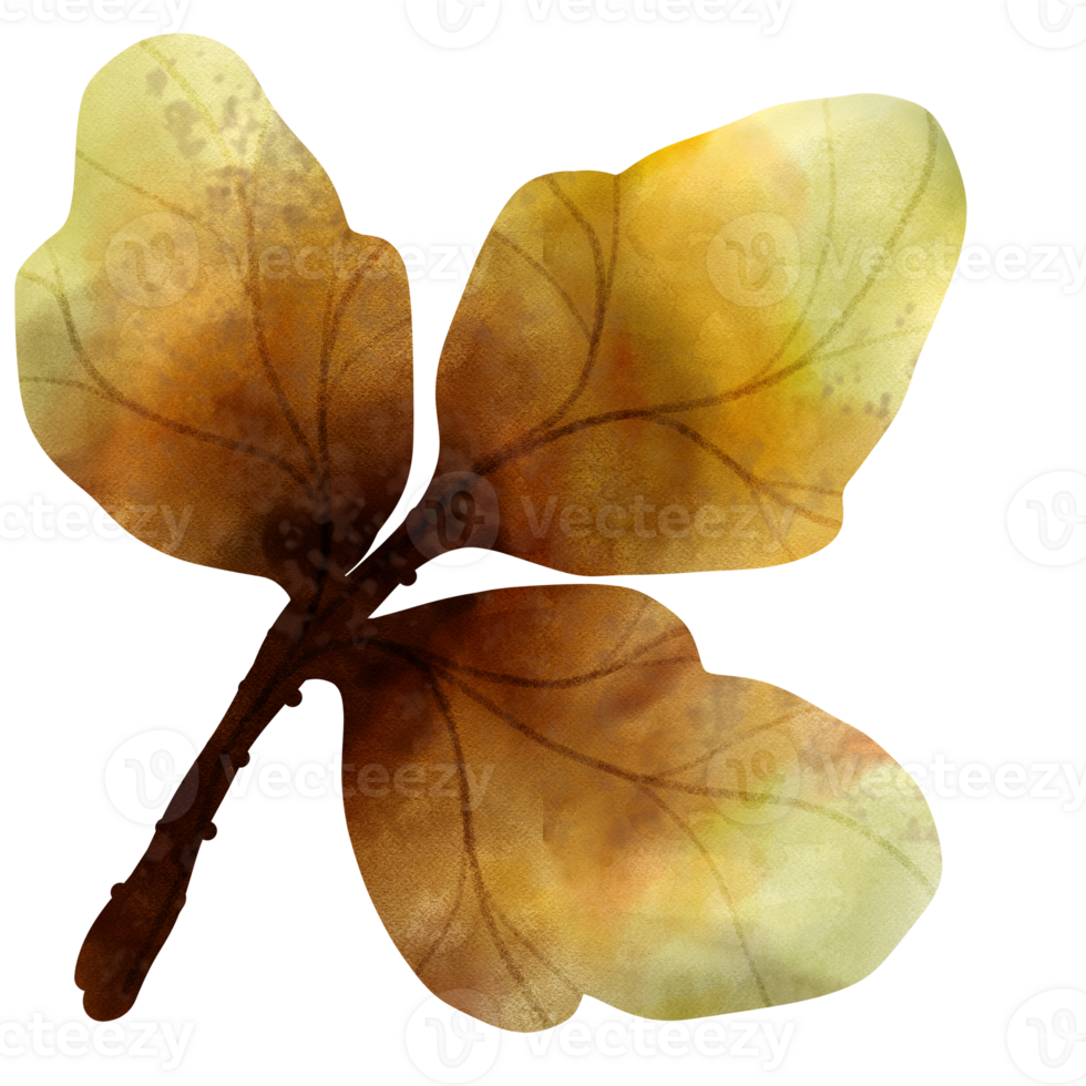 types of leaf png