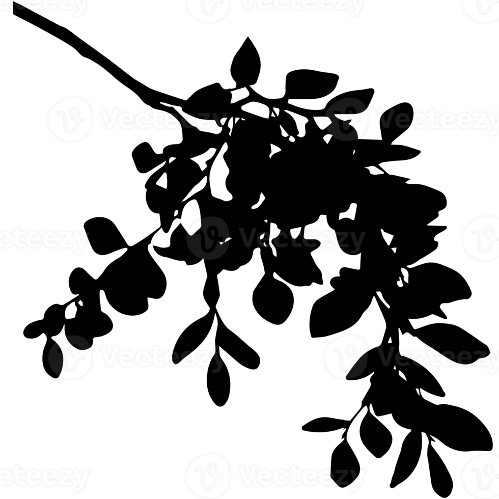 silhouet van bloemen. png