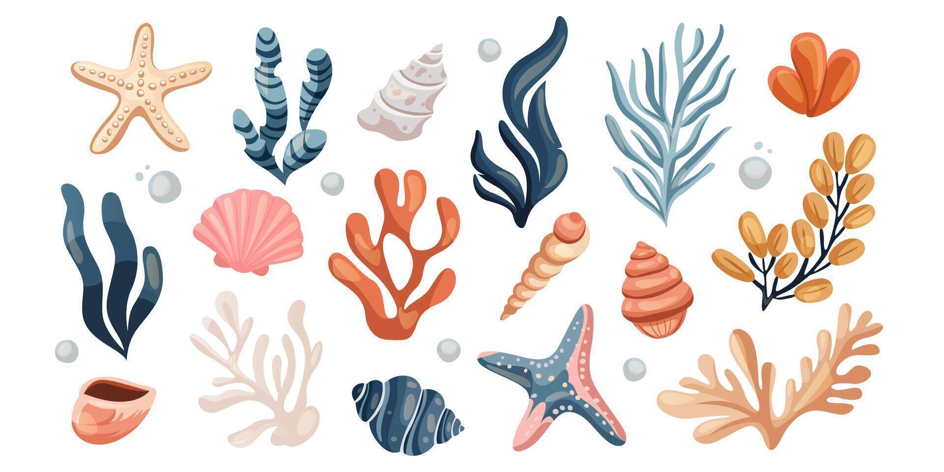 Set of seaweeds, starfish, wracks, racy, oyster shell, mollusk, laminaria, coral reef underwater plants. Aquarium, ocean undersea algae water life. Summer vacation, tropical beach shells marine flora vector