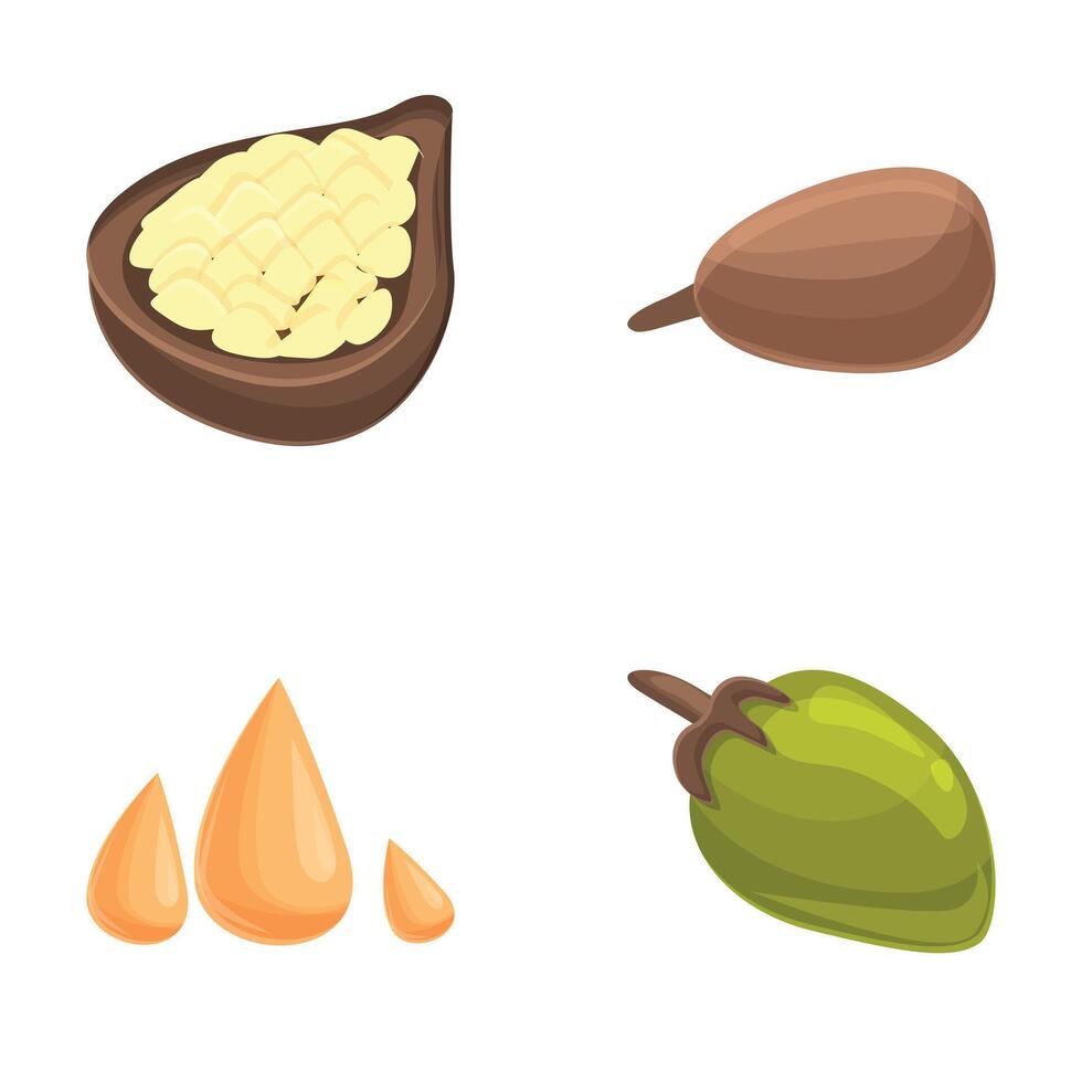 Baobab fruit icons set cartoon vector. Whole and halved baobab fruit vector