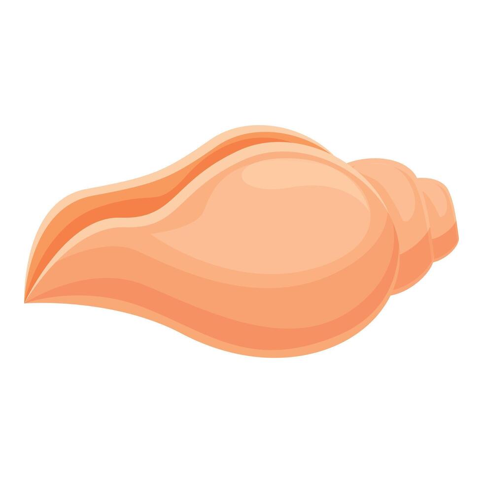 Raw conch icon cartoon vector. Marine sea shell vector