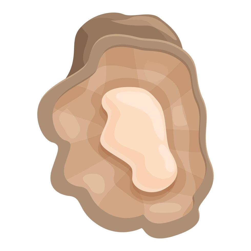 Oysters shell icon cartoon vector. Food nature conch vector