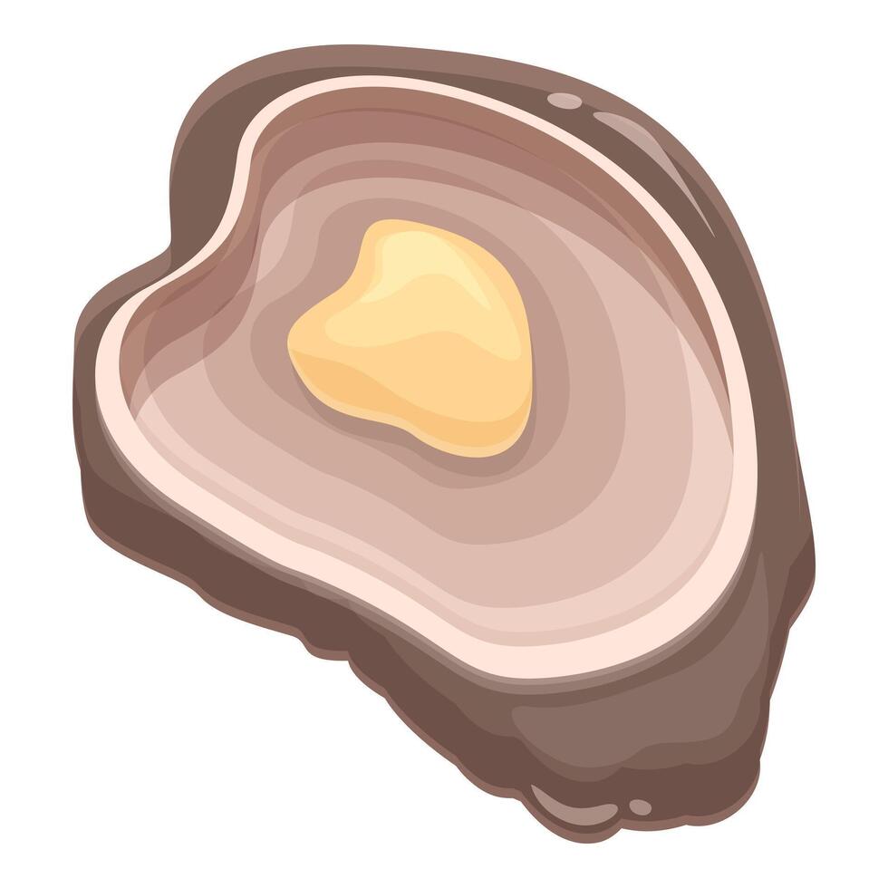 Ingredient oysters icon cartoon vector. Restaurant menu vector