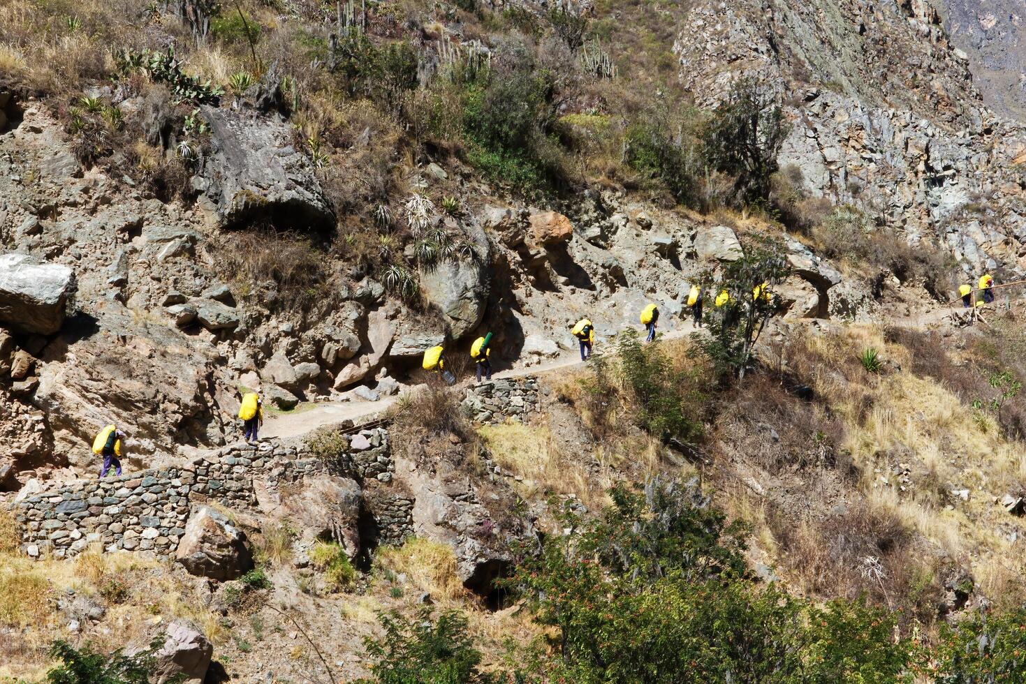 Machu Picchu, Peru, 2015 - Line Of Porters Carrying Supplies For Tourist Machu Picchu Trail photo