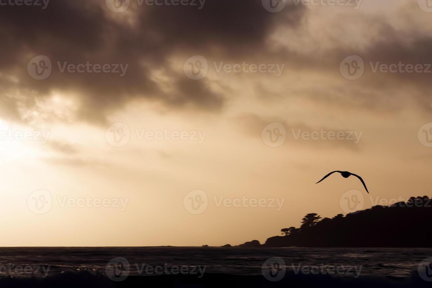 Silhouette Flying Seagull Against Sunset Sky Over Ocean photo