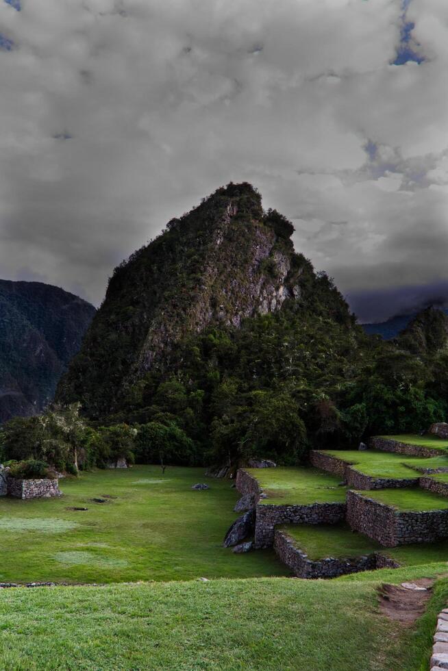 Machu Picchu, Peru, 2015 - Green Terraced Grounds South America photo