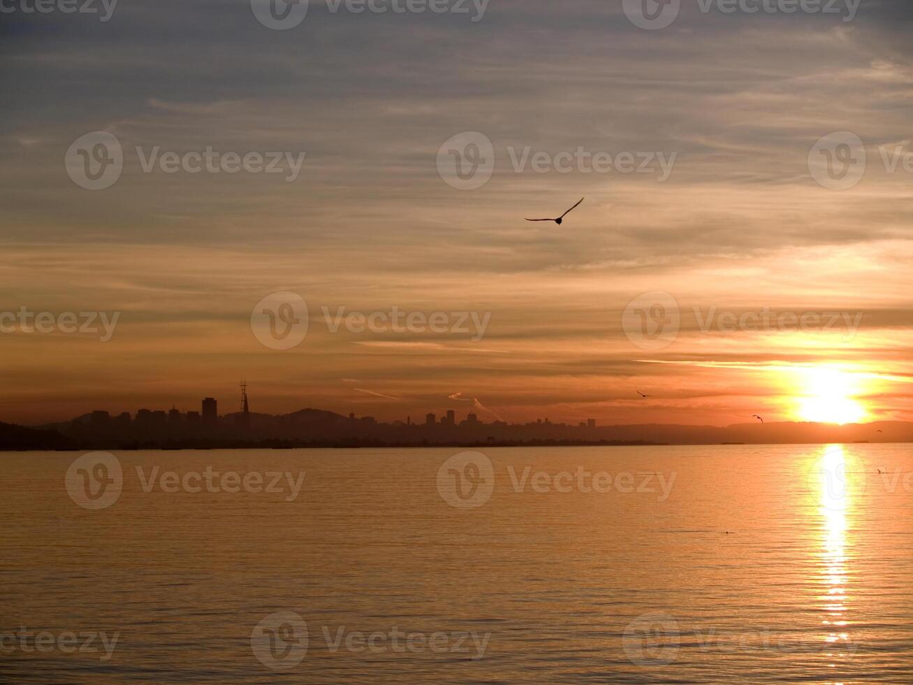 San Francisco Sunset Bay and Seagulls photo