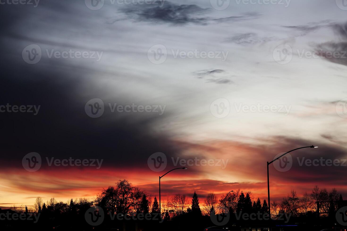 nublado cielo puesta de sol con calle lamparas y arboles foto