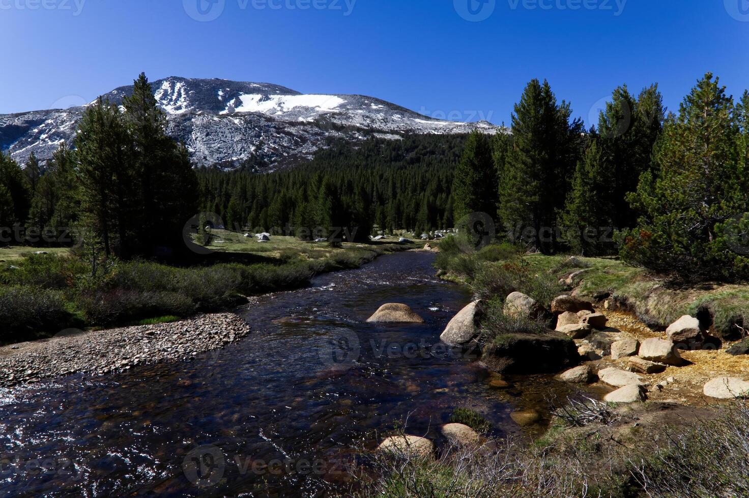 Merced River Running Through Yosemite National Park photo