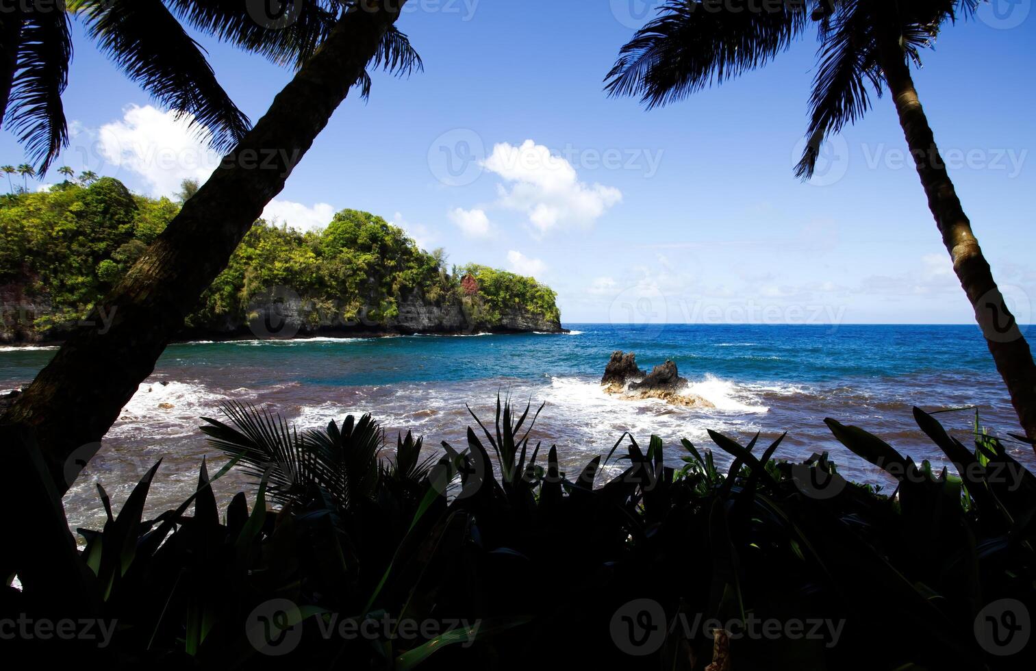 View Of Ocean And Sky Past Palm Trees And Plants Hawaii photo