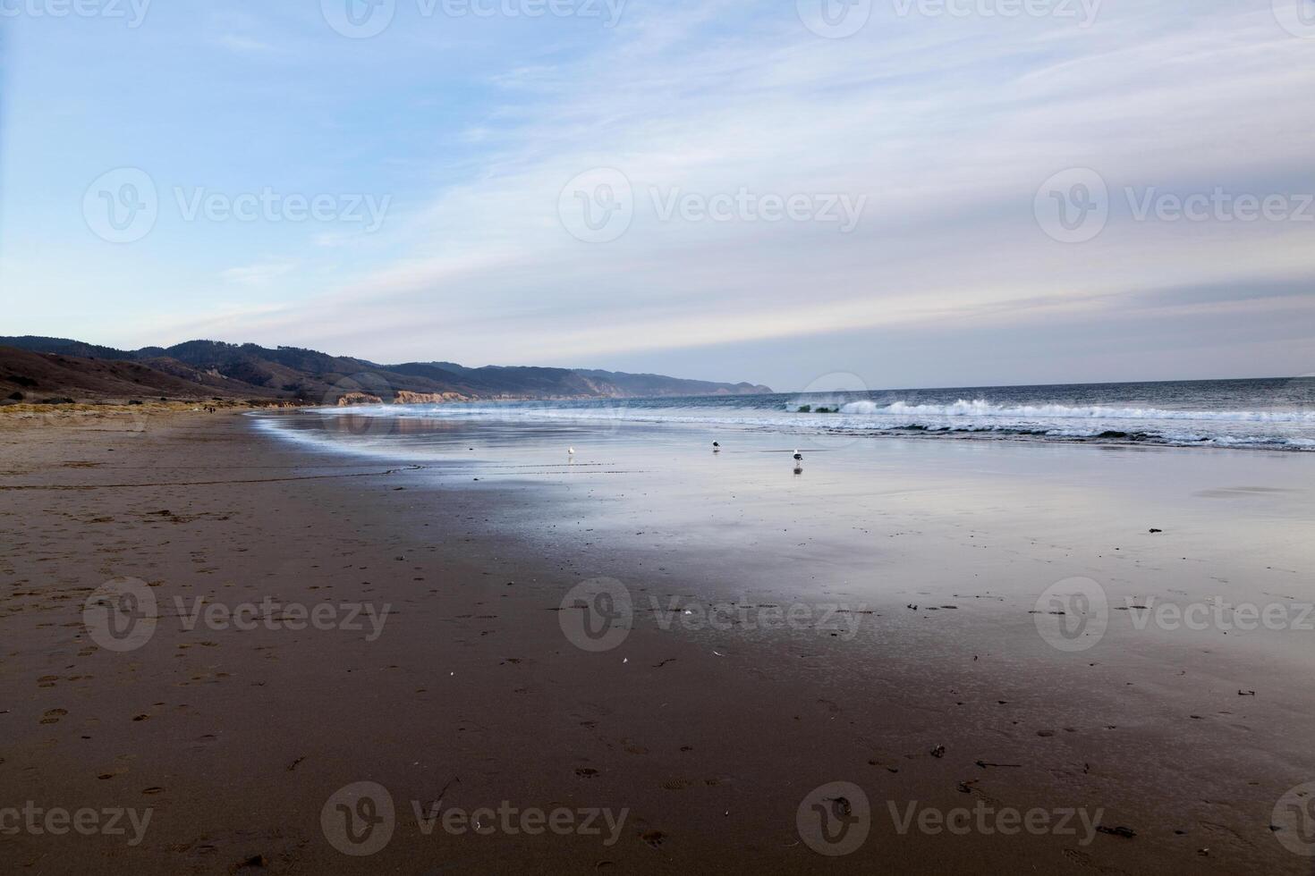 Beach With Seagulls and Distant People Waves photo