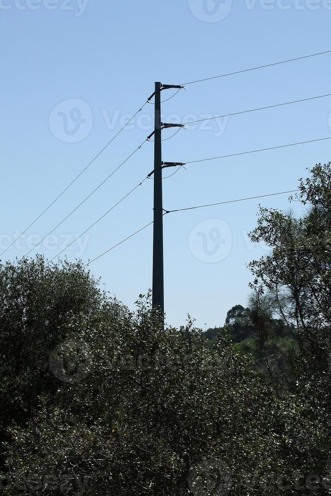 power tension line pole against blue sky surrounded by trees photo