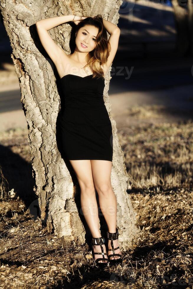 Attractive Asian American Woman In Black Dress Outdoors photo