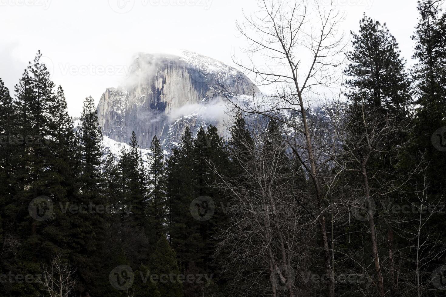 Halfdome With Snow And Cloudy Sky Through Trees photo