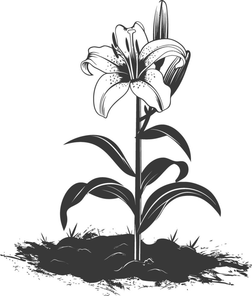 AI generated Silhouette Lily flower in the ground black color only vector