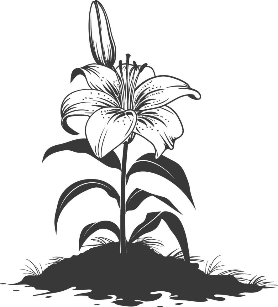 AI generated Silhouette Lily flower in the ground black color only vector