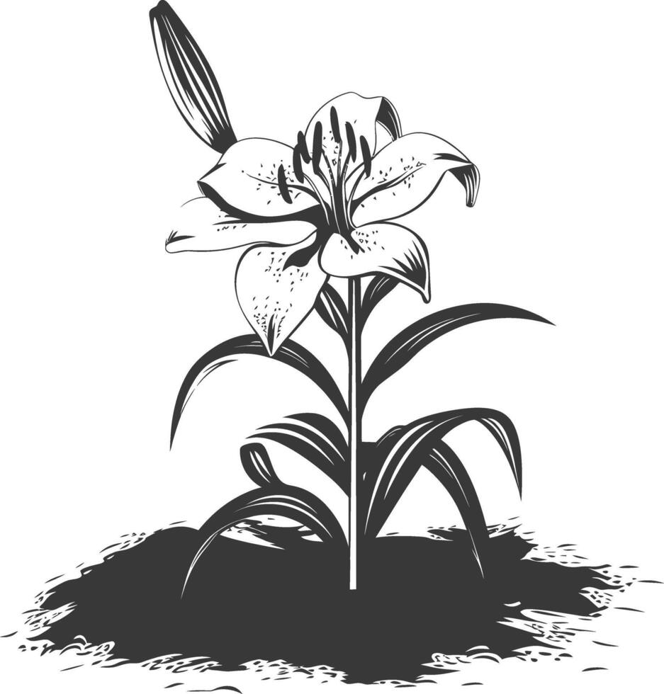 AI generated Silhouette Lily flower in the ground black color only vector