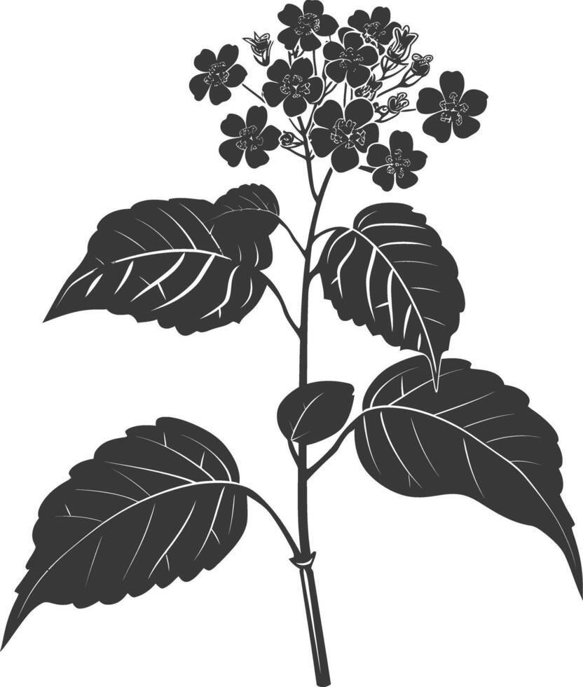 AI generated Silhouette lantana flower black color only vector