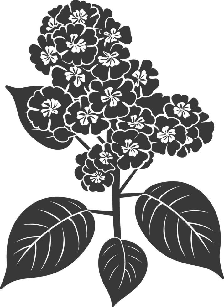 ai generado silueta lantana flor negro color solamente vector