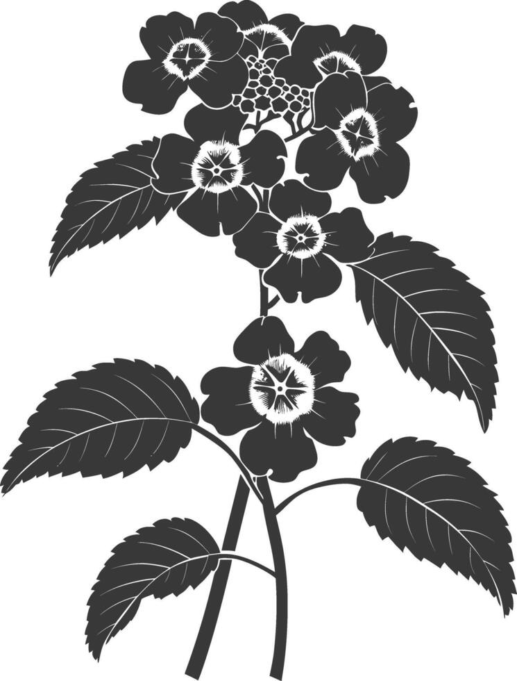 AI generated Silhouette lantana flower black color only vector