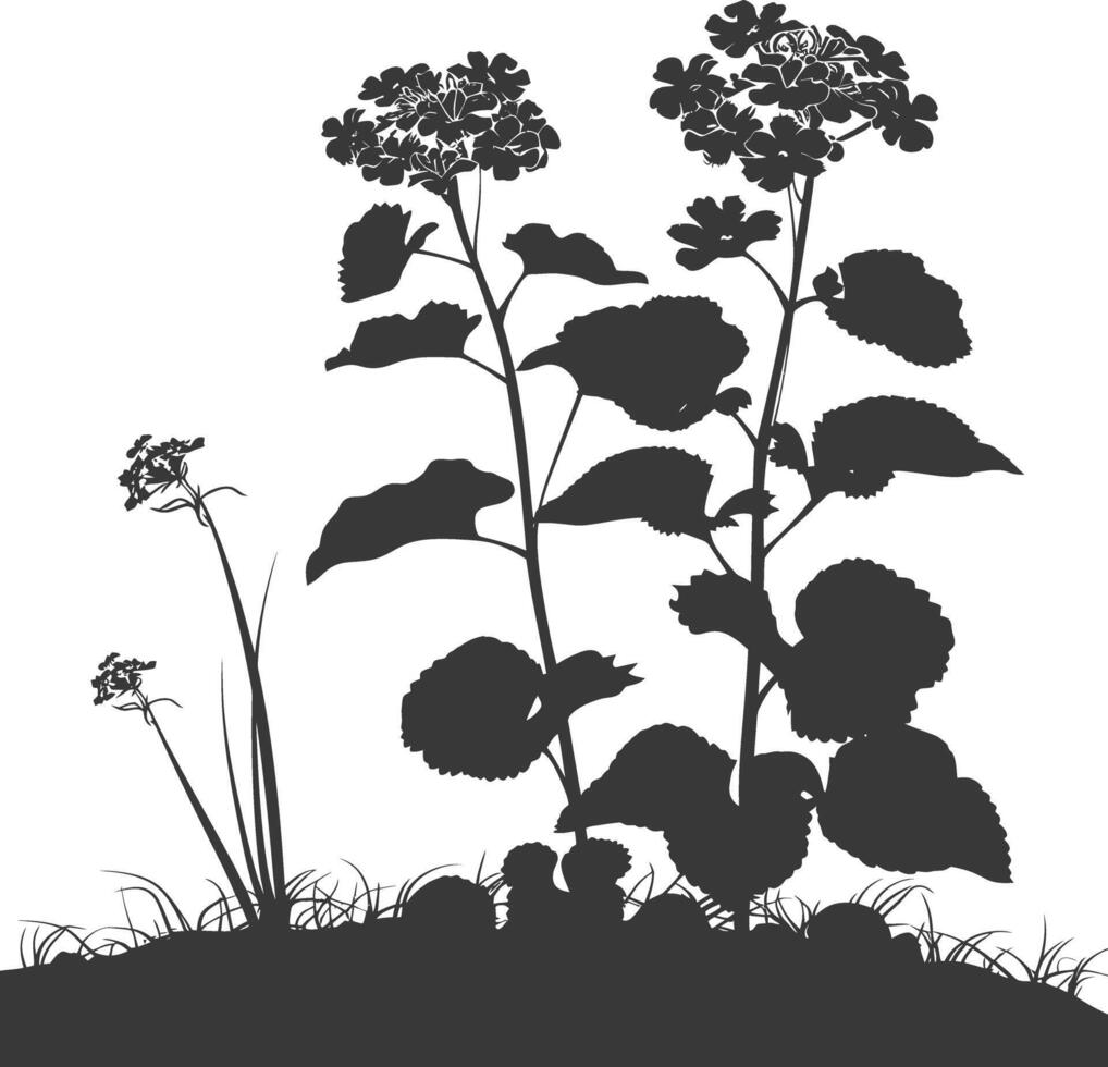 AI generated Silhouette lantana flower in the ground black color only vector