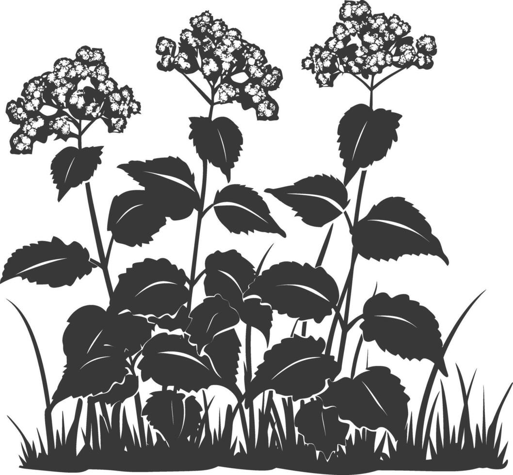 ai generado silueta lantana flor en el suelo negro color solamente vector