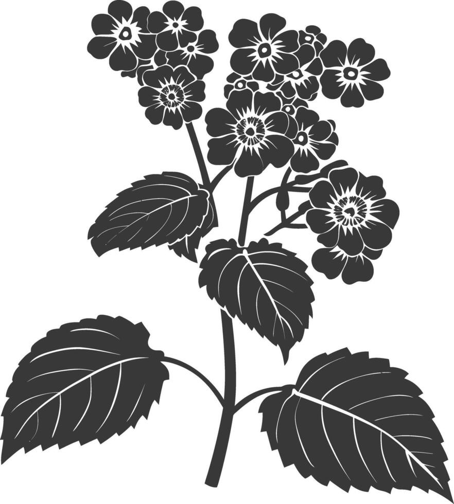 AI generated Silhouette lantana flower black color only vector