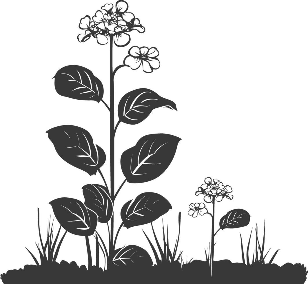 AI generated Silhouette lantana flower in the ground black color only vector