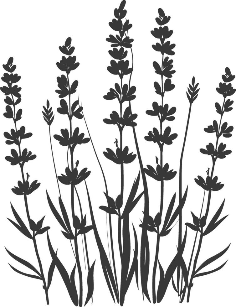 AI generated Silhouette lavender flower black color only vector