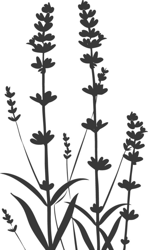 ai generado silueta lavanda flor negro color solamente vector