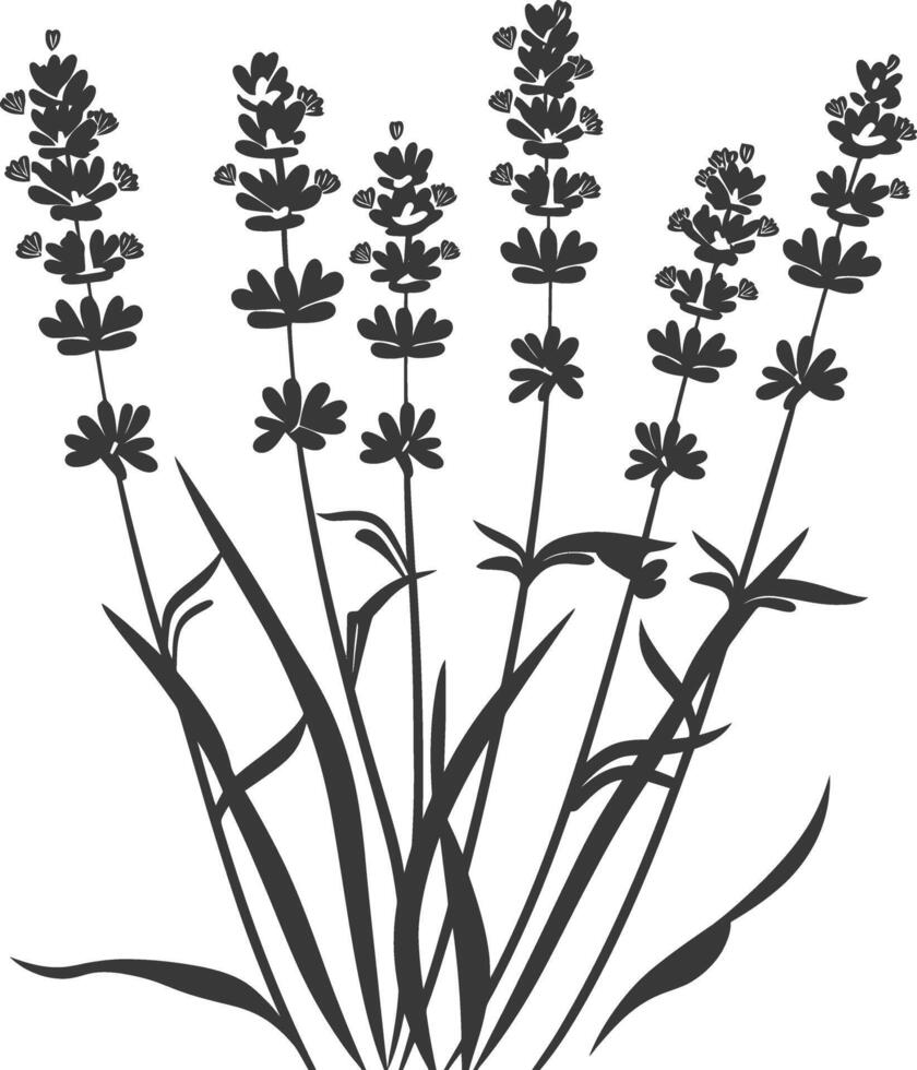 ai generado silueta lavanda flor negro color solamente vector