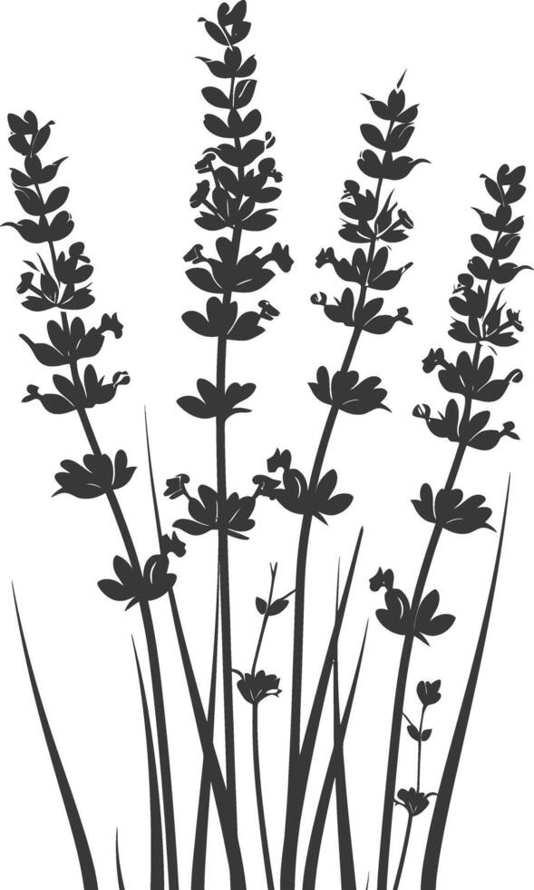 AI generated Silhouette lavender flower black color only vector