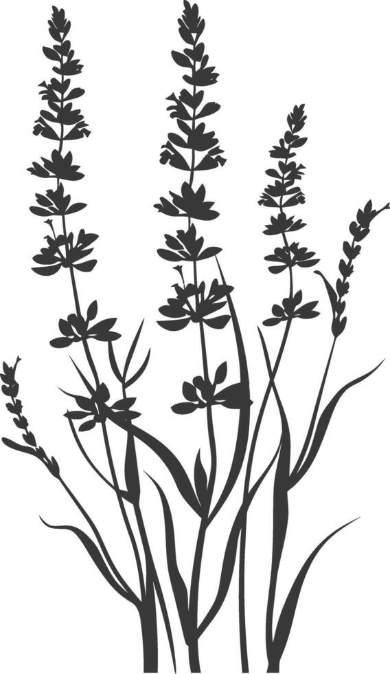 AI generated Silhouette lavender flower black color only vector