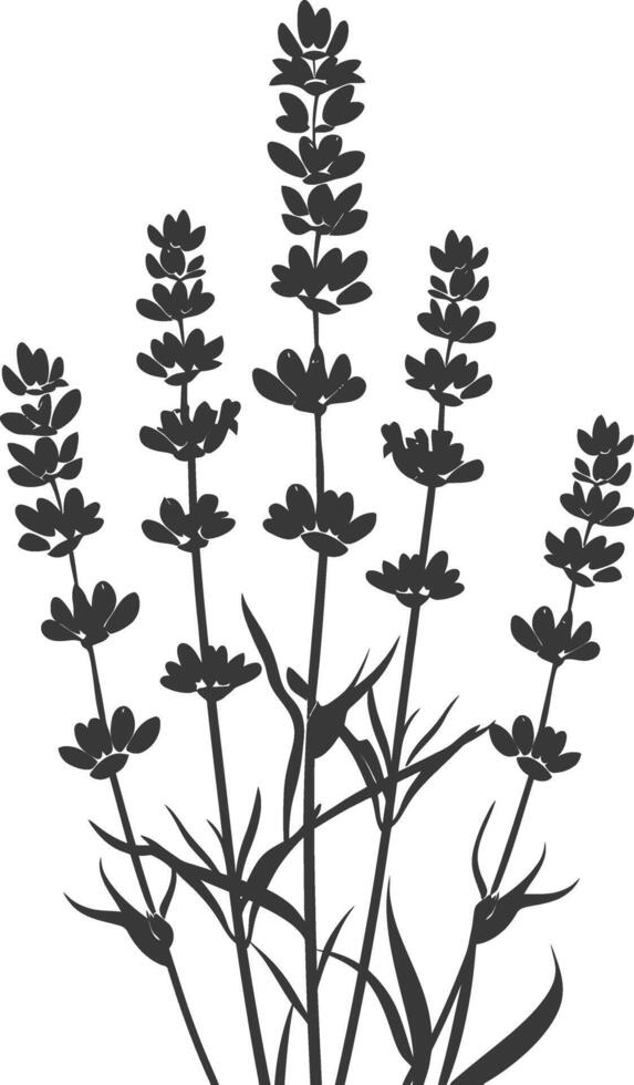 AI generated Silhouette lavender flower black color only vector