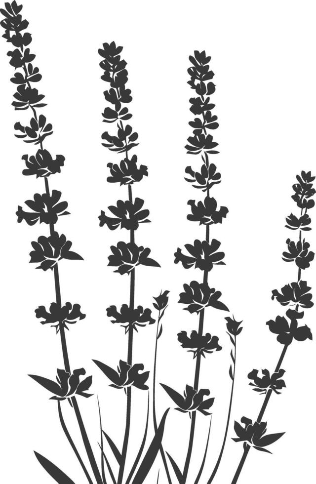AI generated Silhouette lavender flower black color only vector