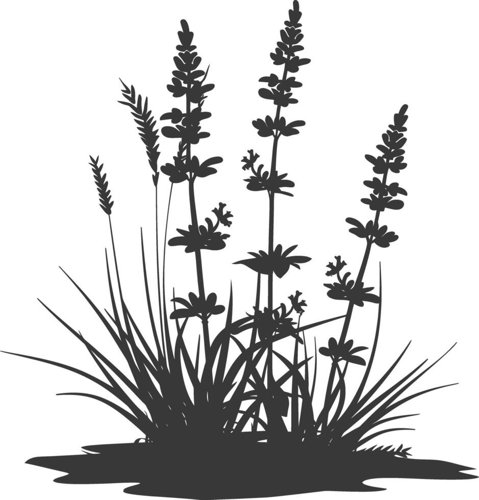 AI generated Silhouette lavender flower in the ground black color only vector