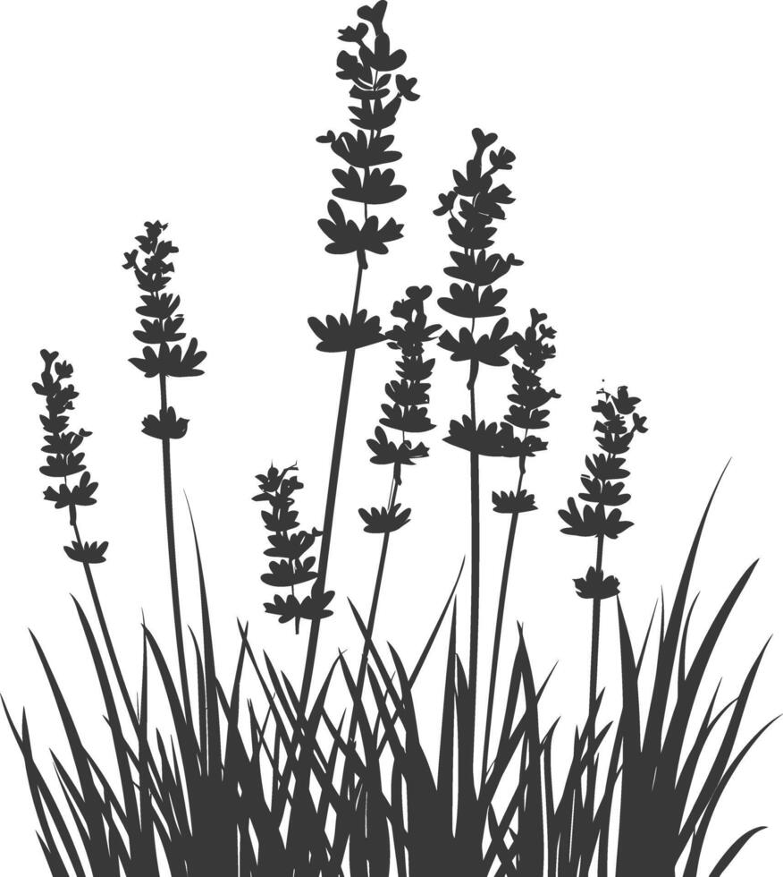 AI generated Silhouette lavender flower in the ground black color only vector